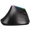 EVEREST SMW-618 ERGONOMIC RBG OPTICAL WIRELESS EGÉR, BLACK