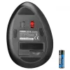 EVEREST SMW-618 ERGONOMIC RBG OPTICAL WIRELESS EGÉR, BLACK