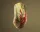 STEELSERIES CS2 DRAGON LORE EDITION GAMER WIRELESS EGÉR,