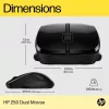HP 250 DUAL WIRELESS EGÉR, BLACK
