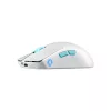 ASUS ROG HARPE ACE AIM LAB EDITION GAMER EGÉR, WHITE