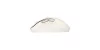 ASUS MD105 WIRELESS BLUETOOTH EGÉR, MILKY WHITE