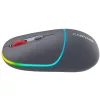 CANYON CNS-CMSW22DG WIRELESS BLUETOOTH EGÉR, DARK GREY