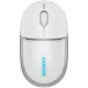 CANYON ONCLICK 24 WIRELESS EGÉR, WHITE