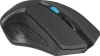 DEFENDER RF ACCURA MM-275 WIRELESS EGÉR, BLACK/BLUE