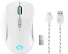 LENOVO M600 WIRELESS GAMER EGÉR, STINGRAY
