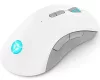 LENOVO M600 WIRELESS GAMER EGÉR, STINGRAY