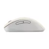 ASUS MD102 WIRELESS EGÉR, OAT MILK