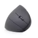 GEMBIRD MUSW-ERGO-01 ERGONOMIC WIRELESS EGÉR, BLACK