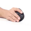 GEMBIRD MUSW-ERGO-01 ERGONOMIC WIRELESS EGÉR, BLACK