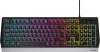 GENESIS RHOD 300 RGB GAMING BILLENTYŰZET FEKETE, US