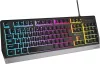 GENESIS RHOD 300 RGB GAMING BILLENTYŰZET FEKETE, US