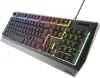 GENESIS RHOD 300 RGB GAMING BILLENTYŰZET FEKETE, US