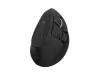 NATEC EUPHONIE PRO WIRELESS VERTICAL EGÉR, BLACK