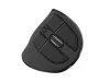 NATEC EUPHONIE PRO WIRELESS VERTICAL EGÉR, BLACK