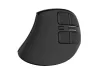 NATEC EUPHONIE PRO WIRELESS VERTICAL EGÉR, BLACK