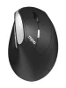 RAPOO EV250 WIRELESS ERGONOMIC EGÉR, BLACK