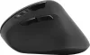 SPEEDLINK PIAVO ERGONOMIC VERTICAL WIRELESS EGÉR, BLACK