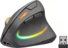 SPEEDLINK PIAVO PRO RGB VERTICAL ERGONOMIC EGÉR, BLACK
