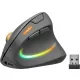 SPEEDLINK PIAVO PRO RGB VERTICAL ERGONOMIC EGÉR, BLACK