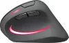 SPEEDLINK PIAVO PRO RGB VERTICAL ERGONOMIC EGÉR, BLACK