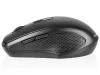 TRACER DEAL RF NANO EGÉR, BLACK