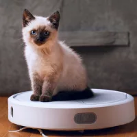 Robotporszívó, takarító robot, porszívó